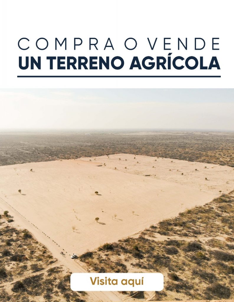 Imagen que muestra la vista aérea de un terreno agricola de Inmuebles Coronado tu Inmobiliaria en Trujillo