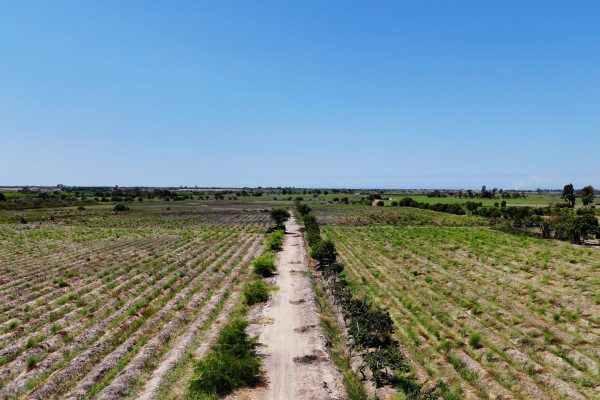 Terreno Agricola Venta Paijan – Macabi Bajo